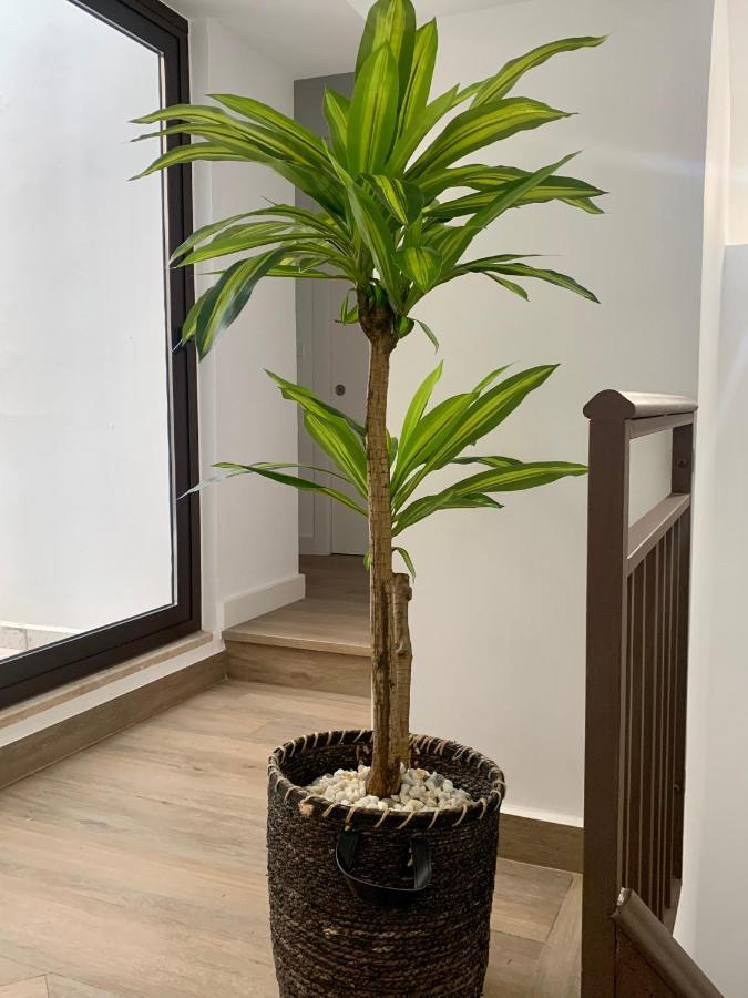 Puerta De Caceres Apartamento 2 מראה חיצוני תמונה