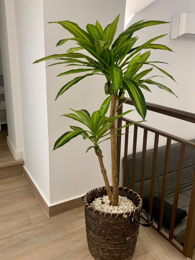 Puerta De Caceres Apartamento 2 מראה חיצוני תמונה