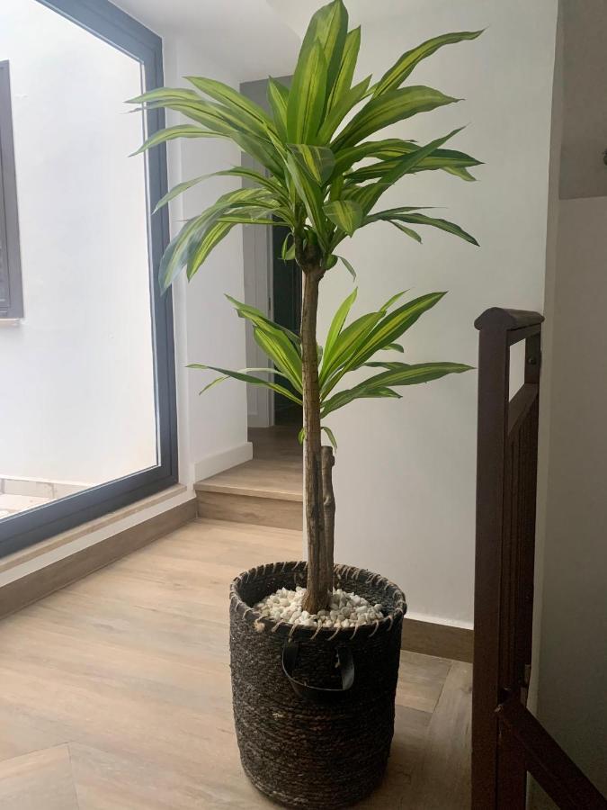 Puerta De Caceres Apartamento 2 מראה חיצוני תמונה