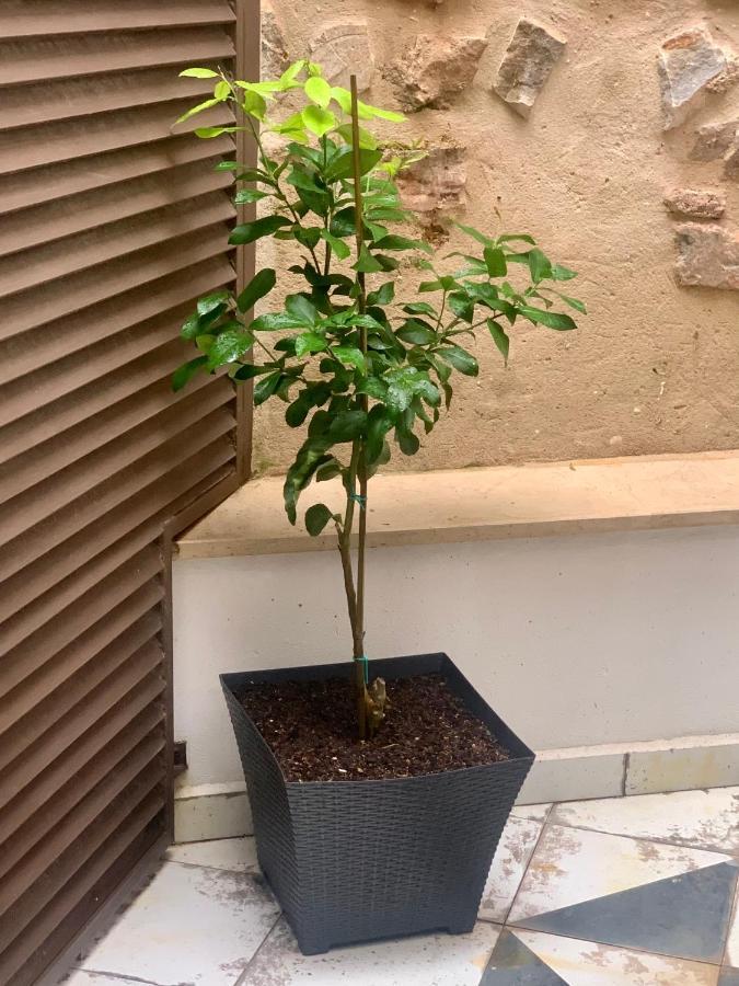 Puerta De Caceres Apartamento 2 מראה חיצוני תמונה